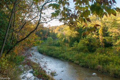 Little Rouge Creek in early autumn