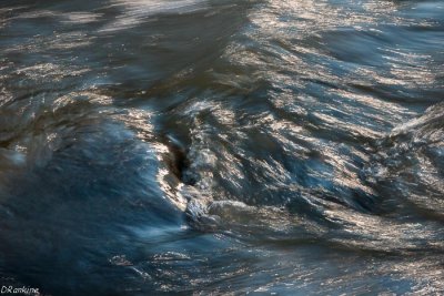 Sunlight on Rouge River
