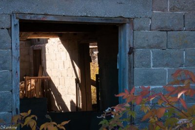 Sunlight In Barn