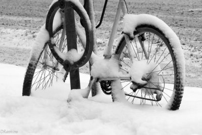 Bicycle in Snow
