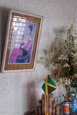 The Picture