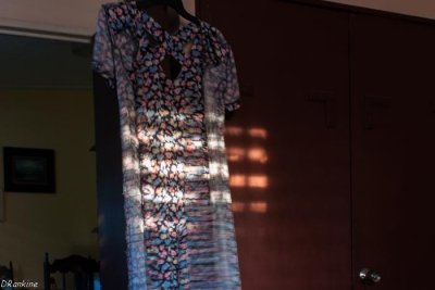 Dress and Sunlight