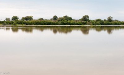 Yallas Pond