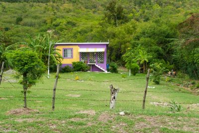House in Pamphret