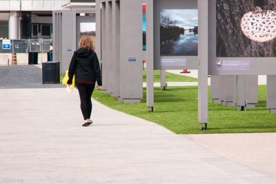 Photography Exhibit