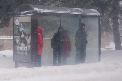 Bus Stop in Winter