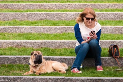 Woman and dog