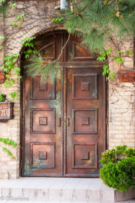 Old Brass Door