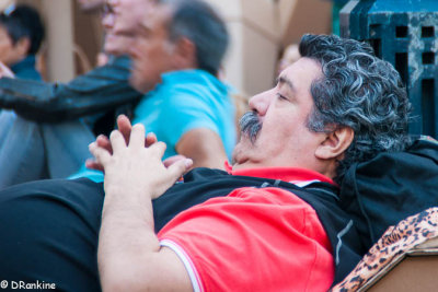 Luminato '14  Free Shows