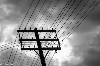 Ode to Electricity