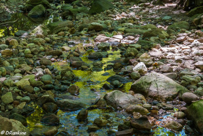 River Stones