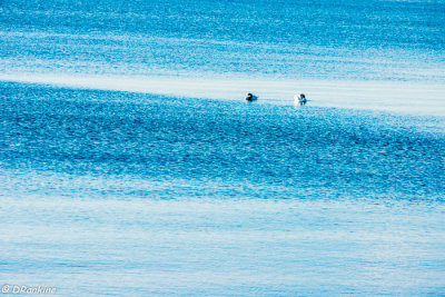 Before the Blue Horizon