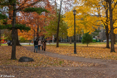 Queens Park in Autumn
