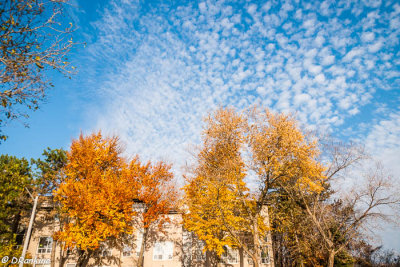 Clouds in Autumn