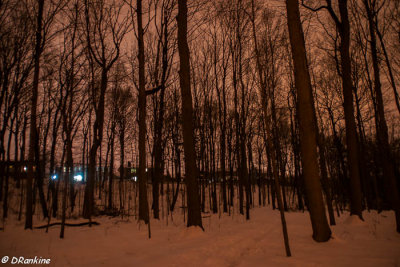 Late Evening in Brookbanks