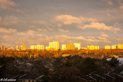 Sun Rise in December