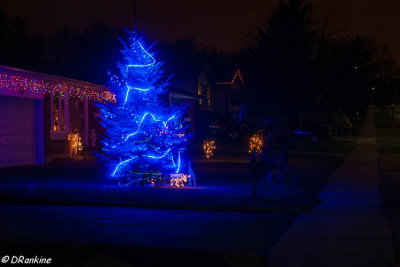 The Blue Christmas Tree