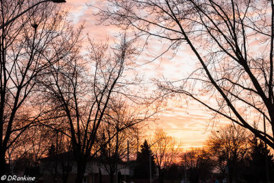 Morning In Clarkson