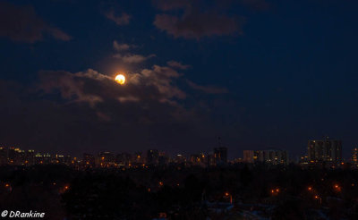 The Morning Moon