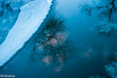 Reflection in Icy Rouge River