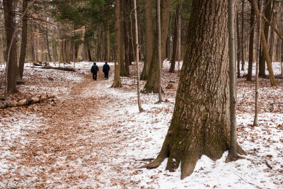 Hikers