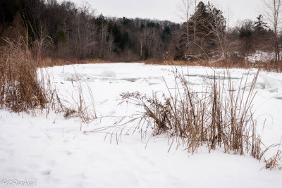 Little Rouge Creek