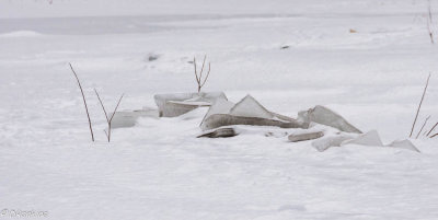 Ice Pile on Little Rouge Creek