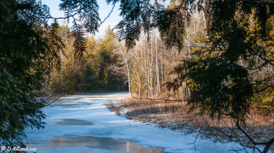 A bend in Little Rouge Creek