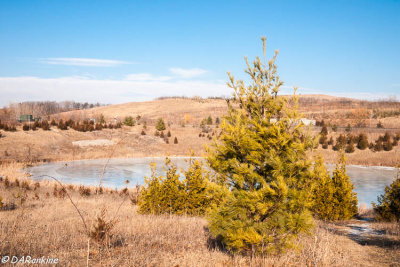 Reclaiming the Wet Lands