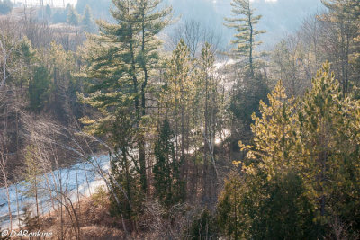 Haze and the Rouge River