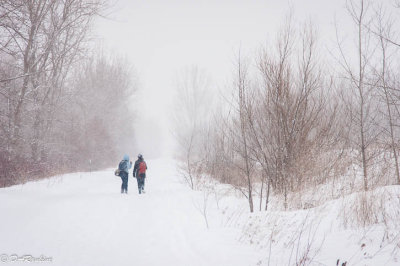 Hikers
