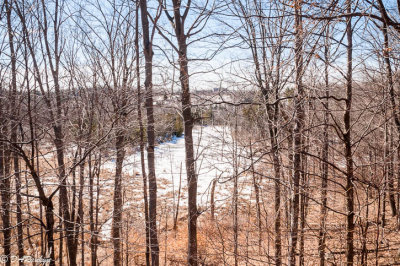 Pond at the Bottom of the Hill