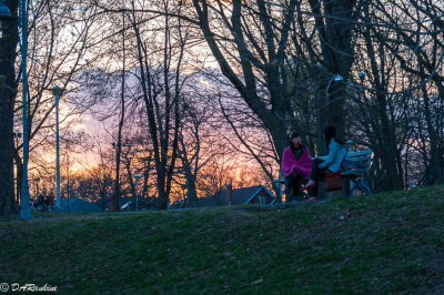 Evening with a Friend