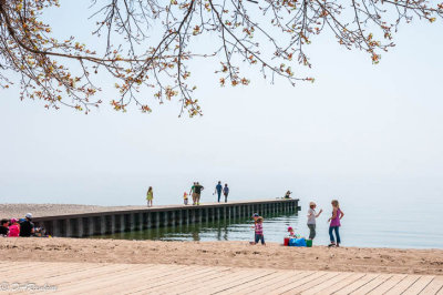 Beach Day in Spring