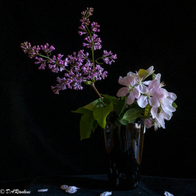 Lilacs and Apple Blossoms