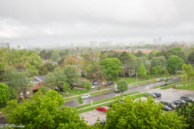 Rain in North York