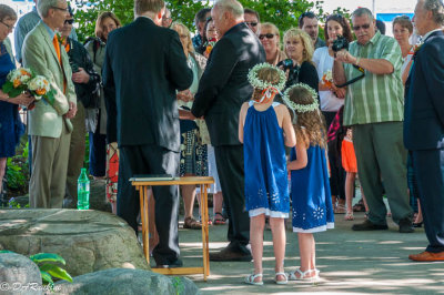 Wedding in the Park