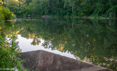 Humber River at Kings Mill Park