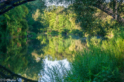 Kings Mill Park