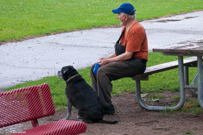 Man and His Dog