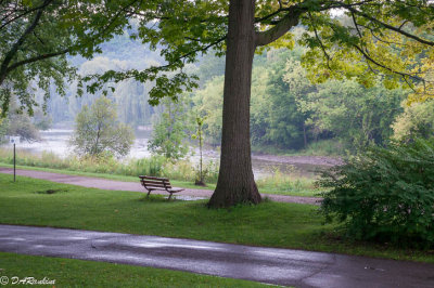 Seat By the River
