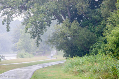 She'll have her walk, rain or shine