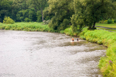 Fishing in the Humber