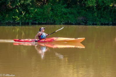 Kayaking on the Humber