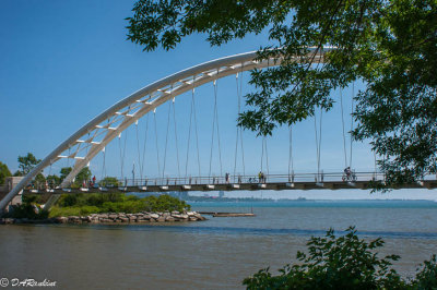 Humber Bay Bridge