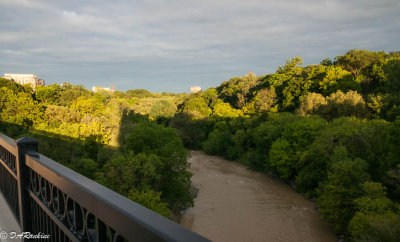 Morning on the Humber River