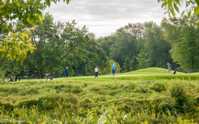 Lambton Golf