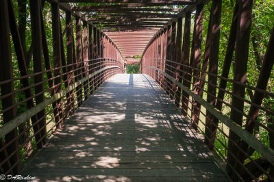 Bridge at Raymore Park