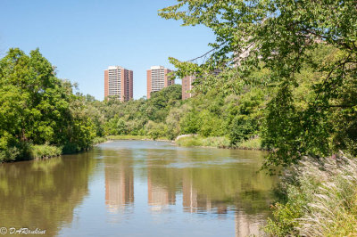 Humber River 