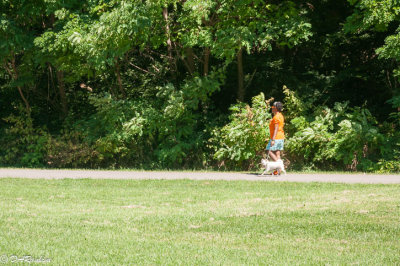 Woman and Her Dog